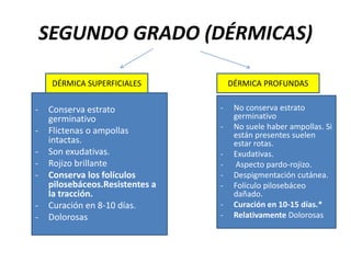 SEGUNDO GRADO (DÉRMICAS)
- Conserva estrato
germinativo
- Flictenas o ampollas
intactas.
- Son exudativas.
- Rojizo brillante
- Conserva los folículos
pilosebáceos.Resistentes a
la tracción.
- Curación en 8-10 días.
- Dolorosas
- No conserva estrato
germinativo
- No suele haber ampollas. Si
están presentes suelen
estar rotas.
- Exudativas.
- Aspecto pardo-rojizo.
- Despigmentación cutánea.
- Folículo pilosebáceo
dañado.
- Curación en 10-15 días.*
- Relativamente Dolorosas
DÉRMICA SUPERFICIALES DÉRMICA PROFUNDAS
 