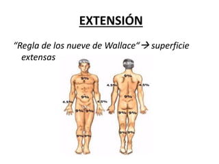 EXTENSIÓN
“Regla de los nueve de Wallace“ superficie
extensas
 
