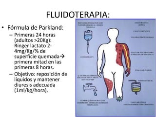 FLUIDOTERAPIA:
• Fórmula de Parkland:
– Primeras 24 horas
(adultos >20Kg):
Ringer lactato 2-
4mg/Kg/% de
superficie quemada
primera mitad en las
primeras 8 horas.
– Objetivo: reposición de
líquidos y mantener
diuresis adecuada
(1ml/kg/hora).
 