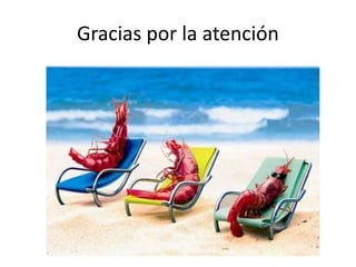 Gracias por la atención
 