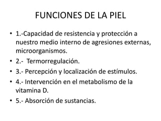 FUNCIONES DE LA PIEL
• 1.-Capacidad de resistencia y protección a
nuestro medio interno de agresiones externas,
microorganismos.
• 2.- Termorregulación.
• 3.- Percepción y localización de estímulos.
• 4.- Intervención en el metabolismo de la
vitamina D.
• 5.- Absorción de sustancias.
 