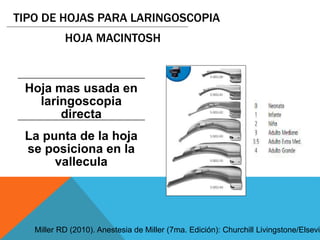 Hoja mas usada en
laringoscopia
directa
La punta de la hoja
se posiciona en la
vallecula
TIPO DE HOJAS PARA LARINGOSCOPIA
Miller RD (2010). Anestesia de Miller (7ma. Edición): Churchill Livingstone/Elsevie
HOJA MACINTOSH
 