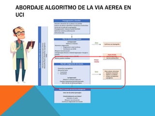 ABORDAJE ALGORITMO DE LA VIA AEREA EN
UCI
 