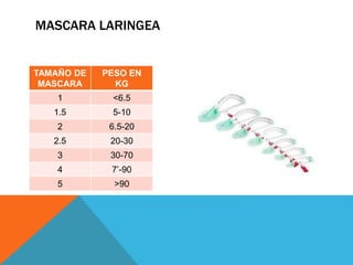 MASCARA LARINGEA
TAMAÑO DE
MASCARA
PESO EN
KG
1 <6.5
1.5 5-10
2 6.5-20
2.5 20-30
3 30-70
4 7’-90
5 >90
 