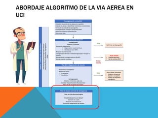 ABORDAJE ALGORITMO DE LA VIA AEREA EN
UCI
 