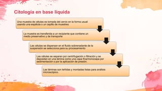 Citología en base líquida
Una muestra de células es tomada del cervix en la forma usual
usando una espátula o un cepillo de muestreo
La muestra es transferida a un recipiente que contiene un
medio preservativo y de transporte
Las células se dispersan en el fluido sobrenadante de la
suspensión se selecciona para su procesamiento
Las células se separan por centrifugación o filtración y se
depositan en una lámina como una capa fina/monocapa por
sedimentación o por la aplicación de presión.
Las láminas son teñidas y montadas listas para análisis
microscópico.
 