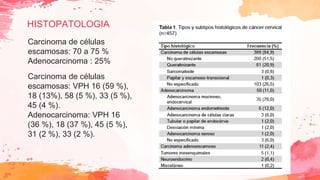 HISTOPATOLOGIA
Carcinoma de células
escamosas: 70 a 75 %
Adenocarcinoma : 25%
Carcinoma de células
escamosas: VPH 16 (59 %),
18 (13%), 58 (5 %), 33 (5 %),
45 (4 %).
Adenocarcinoma: VPH 16
(36 %), 18 (37 %), 45 (5 %),
31 (2 %), 33 (2 %).
 