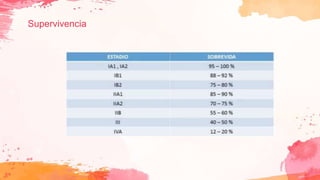 Supervivencia
 