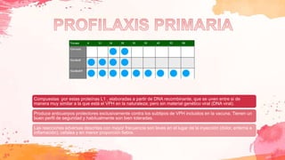 Compuestas por estas proteínas L1 , elaboradas a partir de DNA recombinante, que se unen entre si de
manera muy similar a la que está el VPH en la naturaleza; pero sin material genético viral (DNA viral).
Produce anticuerpos protectores exclusivamente contra los subtipos de VPH incluidos en la vacuna. Tienen un
buen perfil de seguridad y habitualmente son bien toleradas.
Las reacciones adversas descritas con mayor frecuencia son leves en el lugar de la inyección (dolor, eritema e
inflamación), cefalea y en menor proporción fiebre.
 