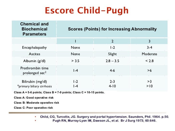 child pug manejo carcinoma hepatocelular 2012 child pug manejo carcinoma hepatocelular 2012