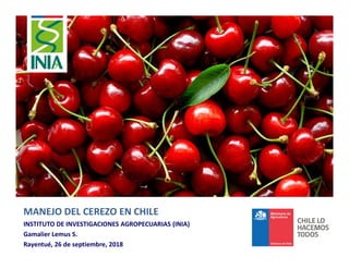 MANEJO DEL CEREZO EN CHILE
INSTITUTO DE INVESTIGACIONES AGROPECUARIAS (INIA)
Gamalier Lemus S.
Rayentué, 26 de septiembre, 2018
 