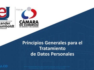 Principios Generales para el
Tratamiento
de Datos Personales
 