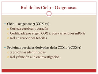 Rol de las Ciclo - Oxigenasas
 Ciclo – oxigenasa 3 (COX-1v)
 Corteza cerebral y corazón
 Codificada por el gen COX 1, con variaciones mRNA
 Rol en reacciones febriles
 Proteínas parciales derivadas de la COX 1 (pCOX-1)
 2 proteínas identificadas
 Rol y función aún en investigación.
 