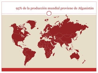 95% de la producción mundial proviene de Afganistán
 