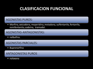 CLASIFICACION FUNCIONAL 