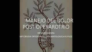 MANEJO DEL DOLOR
POST OPERAROTRIO
DR JAIRO GUEVRA
MP CIRUGIA ORTOPEDICA Y TRAUMATOLOGICA R1 PUCE
 