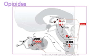 Brown Emery N. Multimodal General Anesthesia: Theory and Practice. DOI:
 