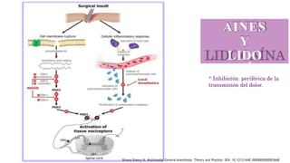AINES
Y
LIDO
CAÍN
A
* Inhibición periférica de la
transmisión del dolor.
Brown Emery N. Multimodal General Anesthesia: Theory and Practice. DOI: 10.1213/ANE.0000000000003668
 