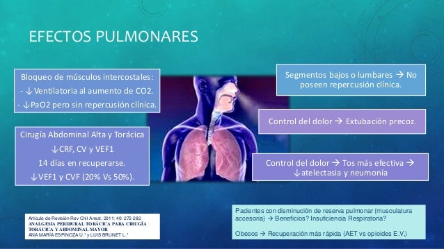 Revisión binaria de efectivo rápido