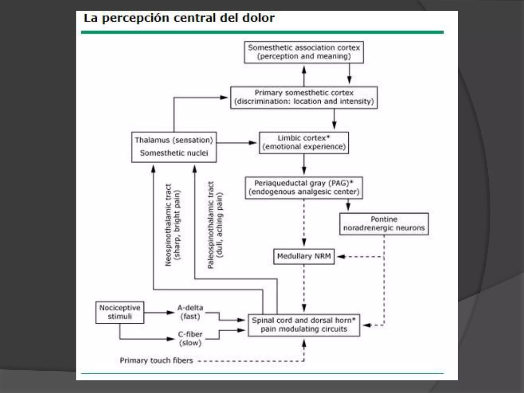 Manejo del dolor post operatorio | PPTX