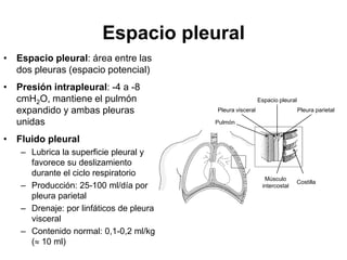 Espacio pleural
• Espacio pleural: área entre las
  dos pleuras (espacio potencial)
• Presión intrapleural: -4 a -8
  cmH2O, mantiene el pulmón                                Espacio pleural
  expandido y ambas pleuras              Pleura visceral                     Pleura parietal

  unidas                                 Pulmón


• Fluido pleural
   – Lubrica la superficie pleural y
     favorece su deslizamiento
     durante el ciclo respiratorio
                                                             Músculo
                                                                          Costilla
   – Producción: 25-100 ml/día por                          intercostal
     pleura parietal
   – Drenaje: por linfáticos de pleura
     visceral
   – Contenido normal: 0,1-0,2 ml/kg
     ( 10 ml)
 