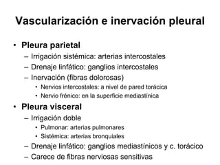 Vascularización e inervación pleural

• Pleura parietal
  – Irrigación sistémica: arterias intercostales
  – Drenaje linfático: ganglios intercostales
  – Inervación (fibras dolorosas)
     • Nervios intercostales: a nivel de pared torácica
     • Nervio frénico: en la superficie mediastínica
• Pleura visceral
  – Irrigación doble
     • Pulmonar: arterias pulmonares
     • Sistémica: arterias bronquiales
  – Drenaje linfático: ganglios mediastínicos y c. torácico
  – Carece de fibras nerviosas sensitivas
 