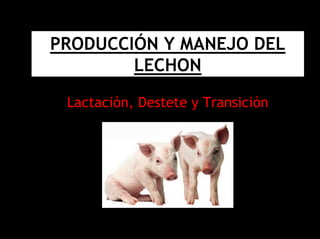 PRODUCCIÓN Y MANEJO DEL 
LECHON 
Lactación, Destete y Transición 
 
