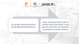 El cuerpo reacciona ante el
estrés liberando hormonas.
Estas hormonas hacen que el
cerebro esté más alerta, causa
que los músculos se tensionen
y aumenta su pulso cardiaco.
 