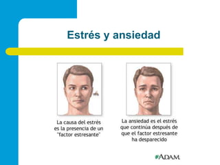 Estrés y ansiedad