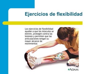 Ejercicios de flexibilidad