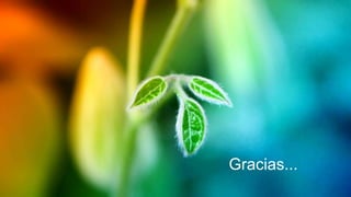 Gracias...
 