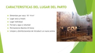 CARACTERISTICAS DEL LUGAR DEL PARTO 
 Dimension por vaca: 10‐ 14 m² 
 Lugar seco y limpio 
 Lugar individual 
 Forraje...