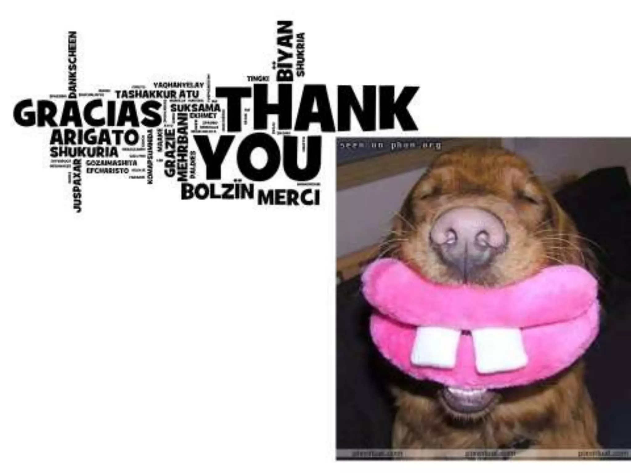 Manejo de liquidos intraoperatorio en niños