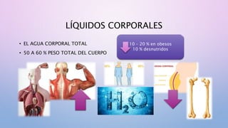 LÍQUIDOS CORPORALES
• EL AGUA CORPORAL TOTAL
• 50 A 60 % PESO TOTAL DEL CUERPO
10 – 20 % en obesos
10 % desnutridos
 