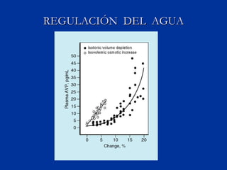 REGULACIÓN  DEL  AGUA 