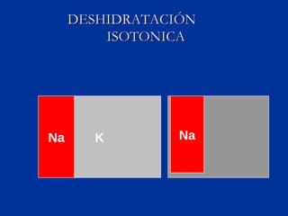 DESHIDRATACIÓN   ISOTONICA K Na Na 
