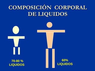 COMPOSICIÓN  CORPORAL DE LIQUIDOS 70-80 %  LIQUIDOS 60% LIQUIDOS 