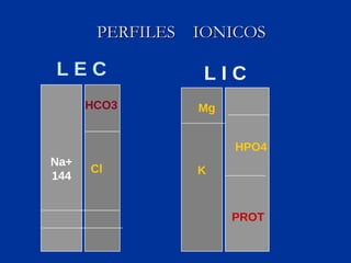 PERFILES  IONICOS Na+ 144 HCO3 Cl L E C  K L I C  Mg HPO4 PROT 
