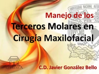 Manejo de los
Terceros Molares en
Cirugía Maxilofacial
C.D. Javier González Bello
 