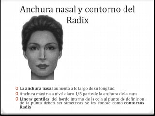 Anchura nasal y contorno del
Radix
0 La anchura nasal aumenta a lo largo de su longitud
0 Anchura máxima a nivel alar= 1/5 parte de la anchura de la cara
0 Lineas gentiles del borde interno de la ceja al punto de definicion
de la punta deben ser simetricas se les conoce como contornos
Radix
 