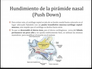 Hundimiento de la pirámide nasal
(Push Down)
0 Para evitar esto, el cartílago septal se jala de su borde caudal hasta colocarlo en el
lugar adecuado fijándolo con un punto trasnfictivo mucosa-cartílago septal-
mucosa, esto impide que el cartílago se deslice hacia atrás
0 Ya que se descendió el dorso óseo, peo el dorso cartilaginoso cerca del lóbulo
permanece un poco alto y no queda estéticamente bien, se utilizan las mismas
maniobras para modificar el resorte en el septum
 
