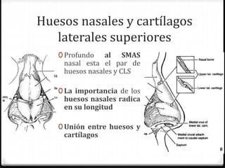 Huesos nasales y cartílagos
laterales superiores
0 Profundo al SMAS
nasal esta el par de
huesos nasales y CLS
0 La importancia de los
huesos nasales radica
en su longitud
0 Unión entre huesos y
cartílagos
 