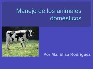 Manejo de los animales domésticos Por Ma. Elisa Rodríguez 
