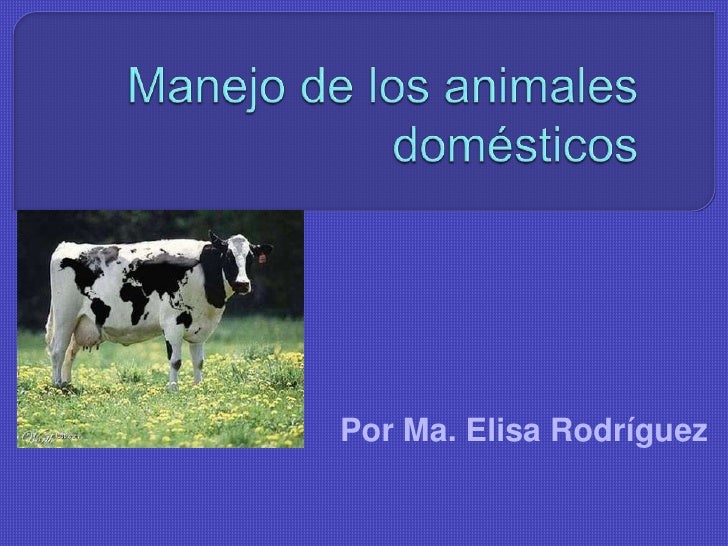 Exterior Y Manejo De Los Animales Domesticos