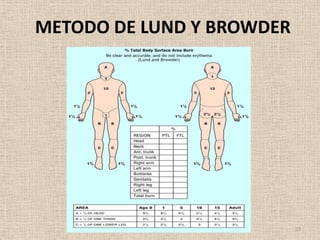 METODO DE LUND Y BROWDER




                           23
 