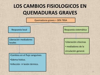 LOS CAMBIOS FISIOLOGICOS EN
       QUEMADURAS GRAVES
                        Quemaduras graves > 30% TBSA


  Respuesta local                                Respuesta sistemática


Liberación mediadores
locales                                           •Liberación citocinas
                                                  • mediadores de la
                                                  circulación general.
•Cambios en el flujo sanguíneo.
•Edema histico.
•Infección → lesión térmico.

                                                                          25
 