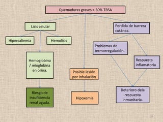 Quemaduras graves > 30% TBSA



            Lisis celular                                        Perdida de barrera
                                                                 cutánea.

Hipercaliemia               Hemolisis
                                                      Problemas de
                                                      termorregulación.

           Hemoglobina                                                      Respuesta
           / mioglobina                                                     inflamatoria
             en orina.                  Posible lesión
                                        por inhalación


                                                                    Deterioro dela
              Riesgo de
                                                                       respuesta
            insuficiencia                 Hipoxemia                  inmunitaria.
            renal aguda.


                                                                                      26
 