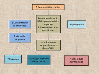 ↑ Permeabilidad capilar .



                             Desviación de sodio,
                             H2O y proteína de los
   ↑Concentración
                                     espacios          Hiponatremia
    de eritrocitos.
                              intravasculares a los
                                  intersticiales.

     ↑Viscosidad
      sanguínea
                                ↓ Volumen de
                               sangre circulante
                                 (hasta 50%)



↑Pos carga            ↓Riesgo sanguíneo                CHOQUE POR
                        de los tejidos                 QUEMADURA


                                                                      27
 