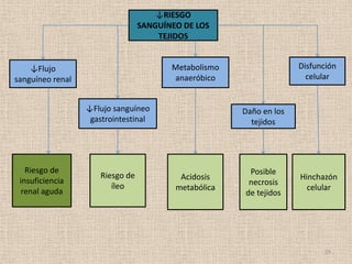 ↓RIESGO
                                 SANGUÍNEO DE LOS
                                     TEJIDOS


    ↓Flujo                              Metabolismo                 Disfunción
sanguíneo renal                         anaeróbico                    celular


                  ↓Flujo sanguíneo                    Daño en los
                   gastrointestinal                     tejidos




   Riesgo de                                           Posible
                     Riesgo de            Acidosis                  Hinchazón
 insuficiencia                                         necrosis
                        íleo             metabólica                   celular
 renal aguda                                          de tejidos




                                                                          29
 