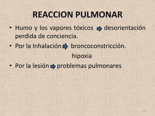 REACCION PULMONAR
• Humo y los vapores tóxicos  desorientación
  perdida de conciencia.
• Por la Inhalación broncoconstricción.
                     hipoxia
• Por la lesión problemas pulmonares




                                           37
 